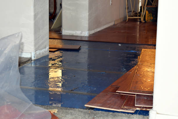 Professional Emergency Water Damage Restoration technician working in Elkton, OH